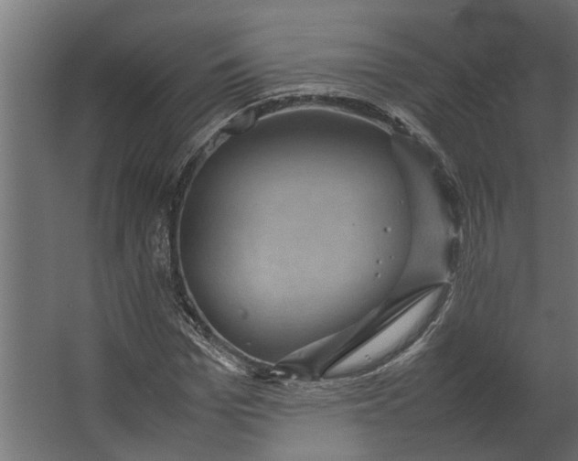 X0000067500969200604211721