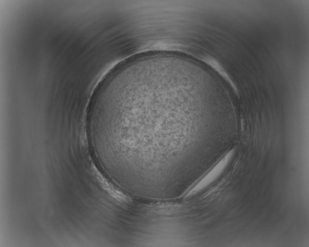 X0000067500972200604211720