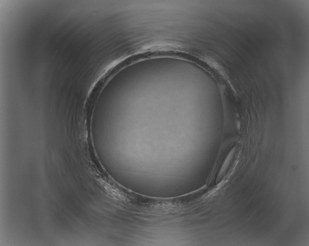 X0000067500973200604211720