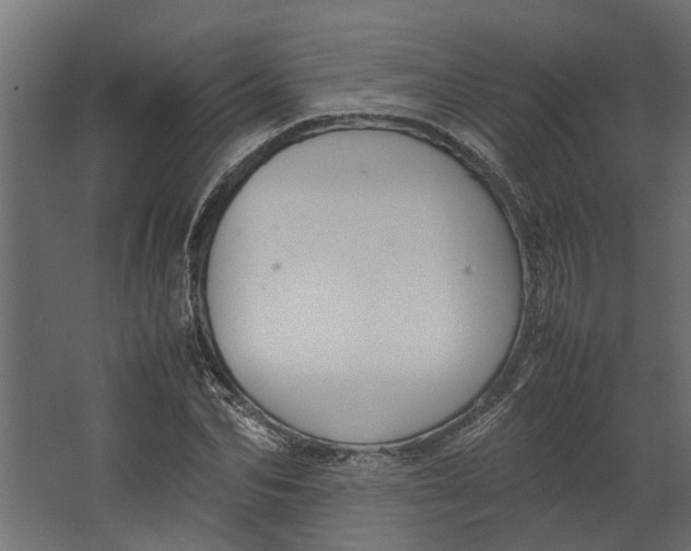 X0000067500974200604211720