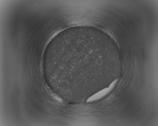 X0000067500975200604211720