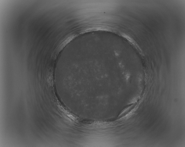 X0000067500977200604211720