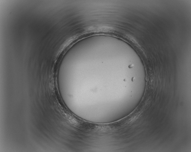 X0000067500978200604211720