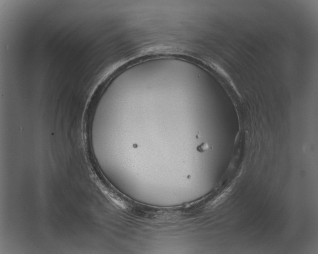 X0000067500981200604211720