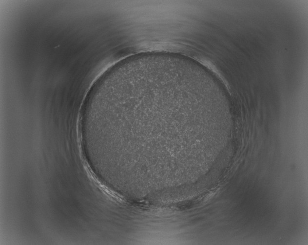 X0000067500983200604211720