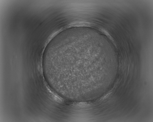 X0000067500986200604211720