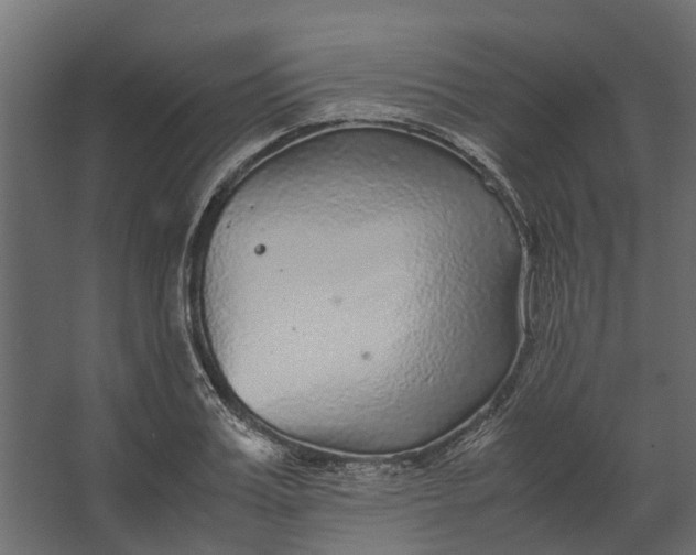 X0000067500987200604211720