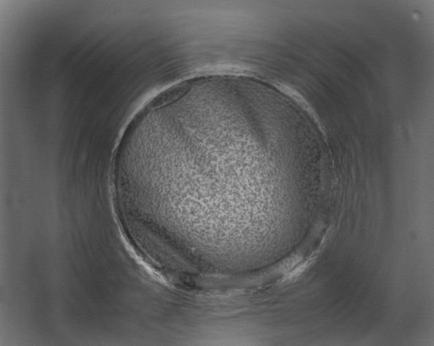 X0000067500989200604211720