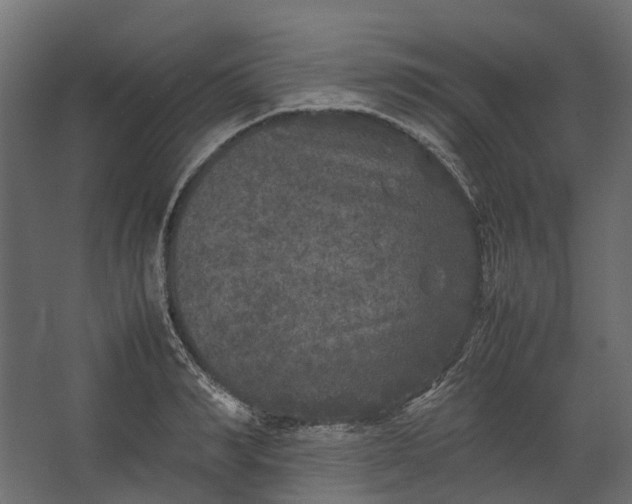 X0000067500990200604211720