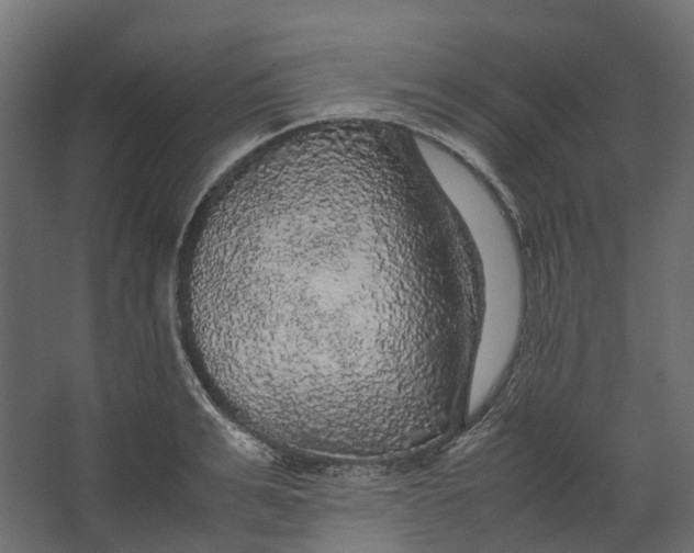 X0000067500991200604211720