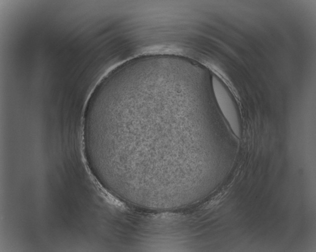 X0000067500992200604211720