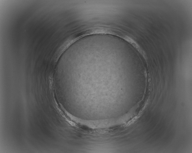 X0000067500993200604211720