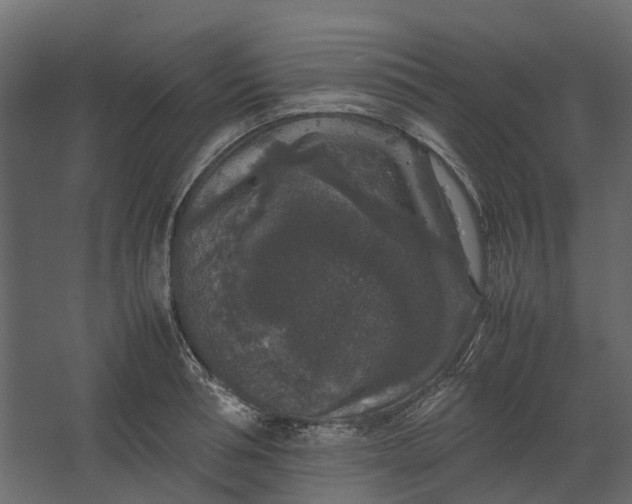 X0000067500994200604211720