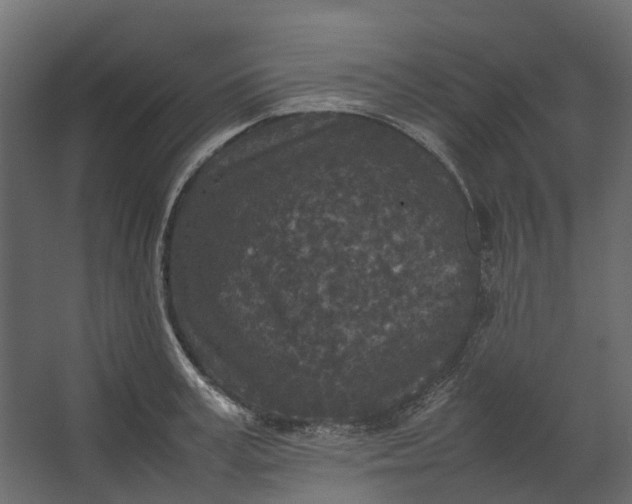 X0000067500995200604211720