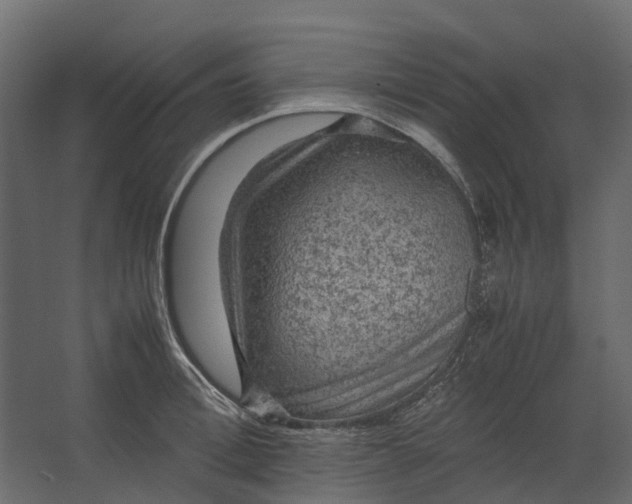 X0000067500996200604211720