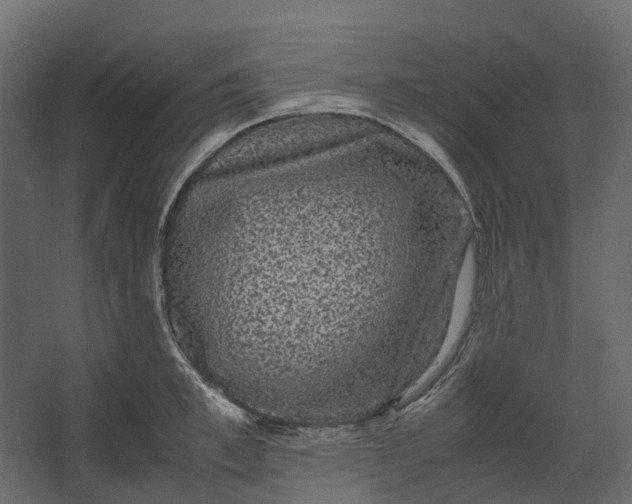 X0000067500997200604211720