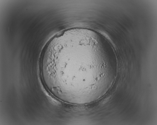 X0000067500999200604211720