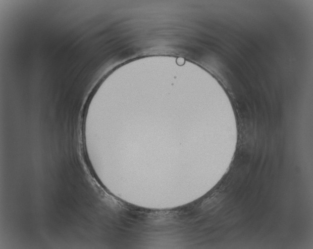 X0000067501000200604211720