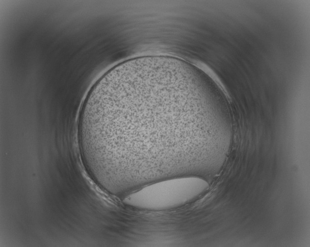 X0000067501004200604211720