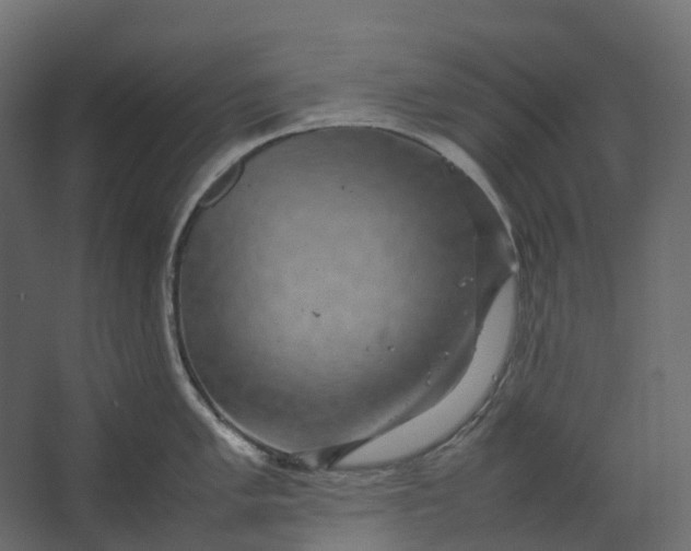 X0000067501005200604211720