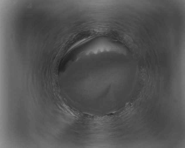 X0000067501009200604211719