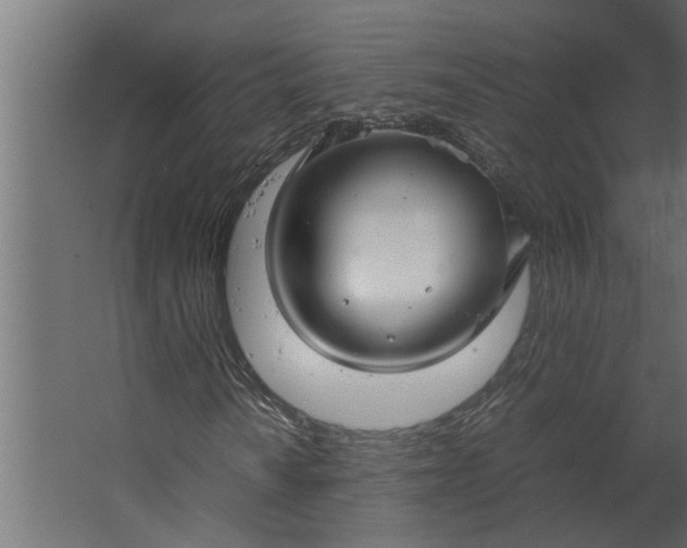 X0000067501010200604211719