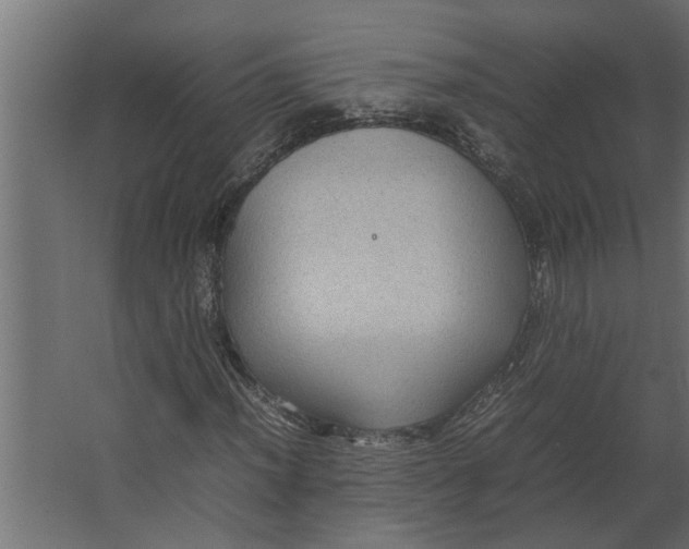 X0000067501012200604211719