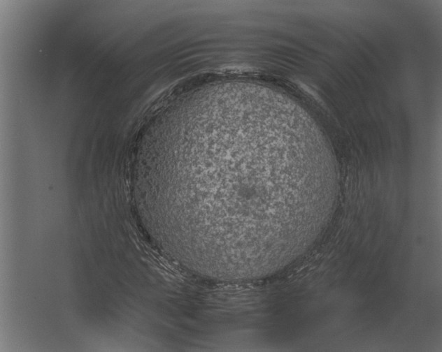 X0000067501015200604211719