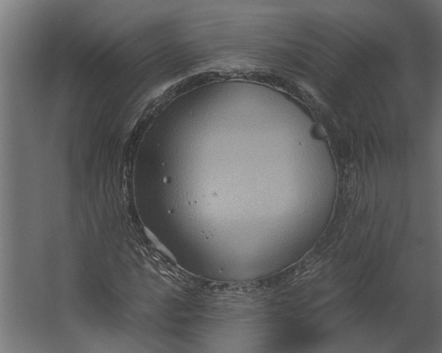 X0000067501016200604211719