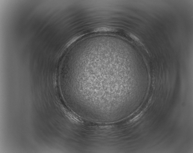 X0000067501017200604211719