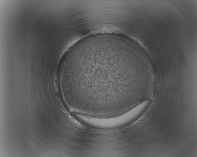 X0000067501018200604211719