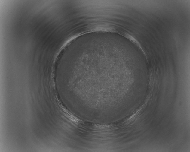 X0000067501019200604211719