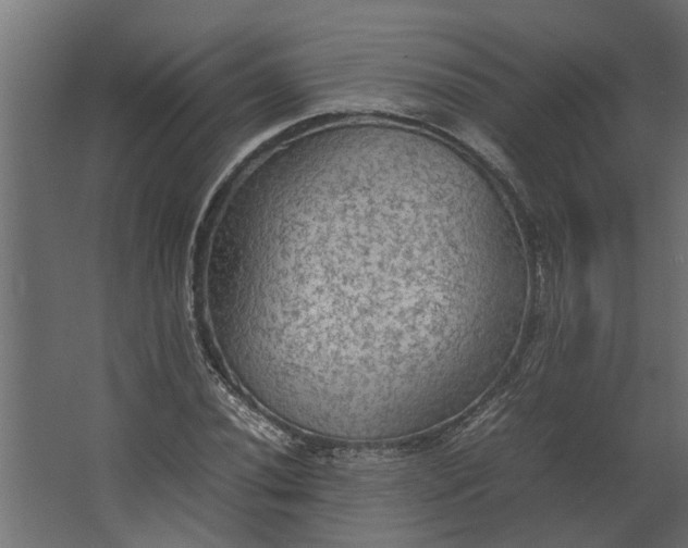 X0000067501020200604211719