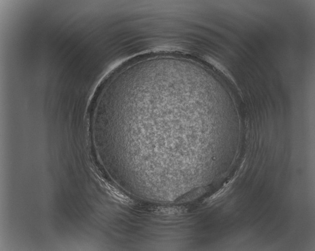 X0000067501021200604211719