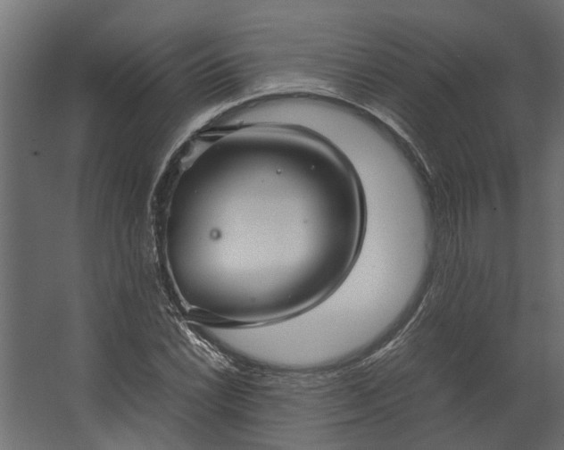 X0000067501022200604211719