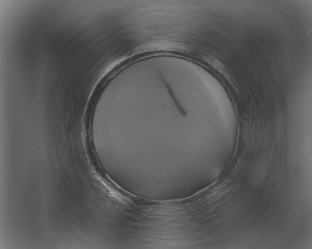 X0000067501024200604211719