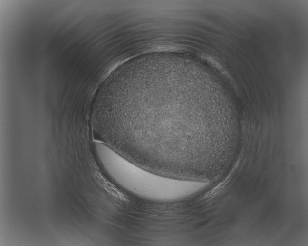 X0000067501025200604211719