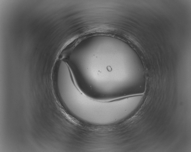 X0000067501026200604211719