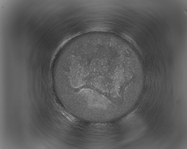 X0000067501027200604211719