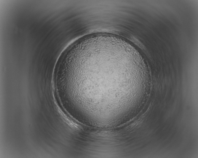 X0000067501028200604211719