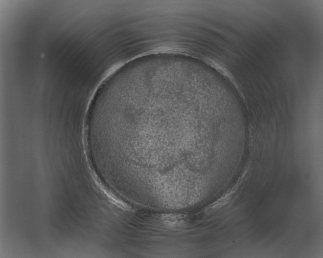 X0000067501029200604211719