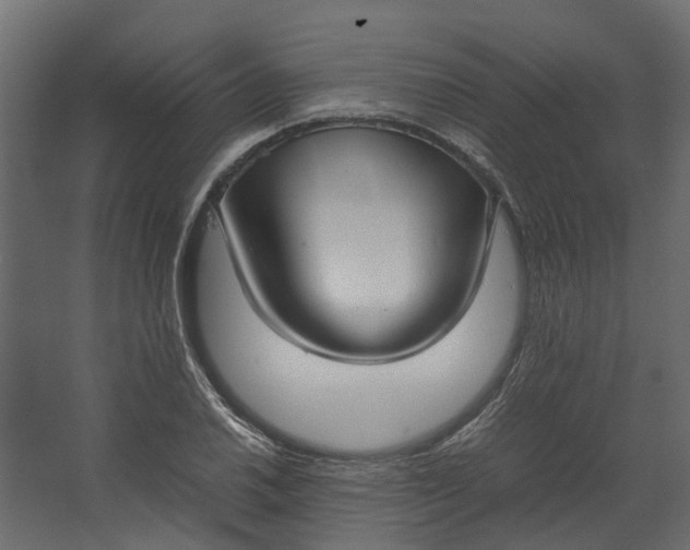 X0000067501030200604211719