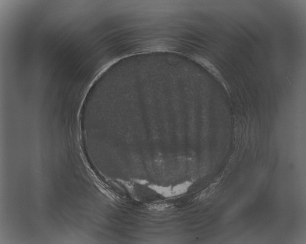 X0000067501031200604211719