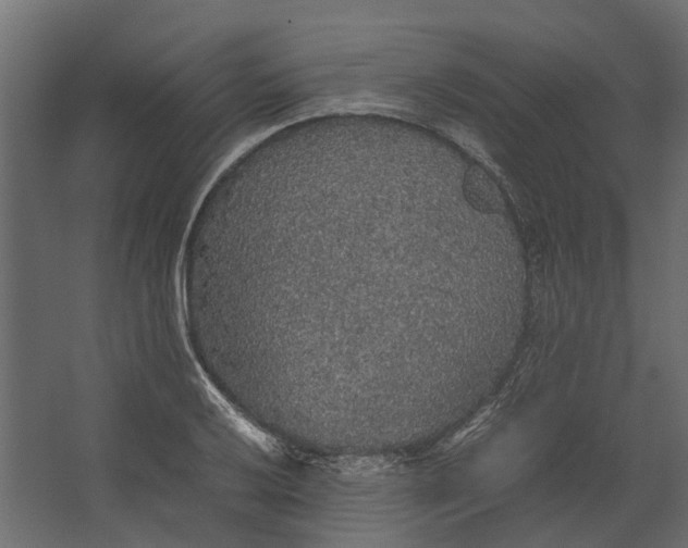 X0000067501032200604211719