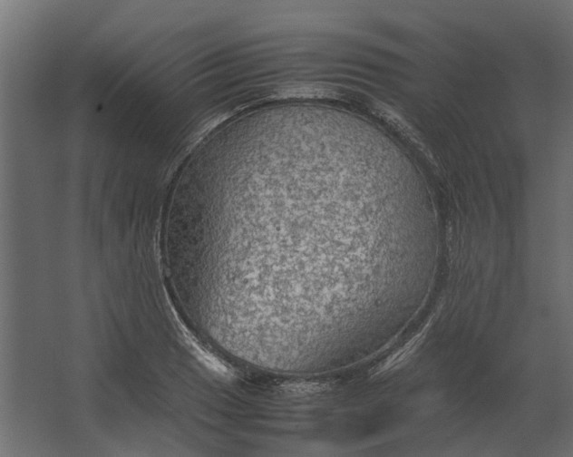 X0000067501033200604211719