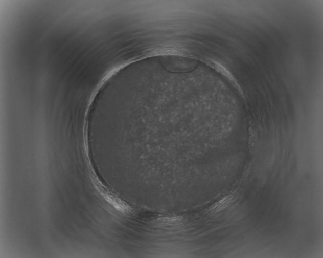 X0000067501035200604211720