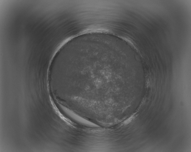 X0000067501038200604211720