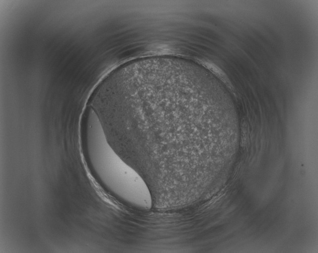 X0000067501039200604211720