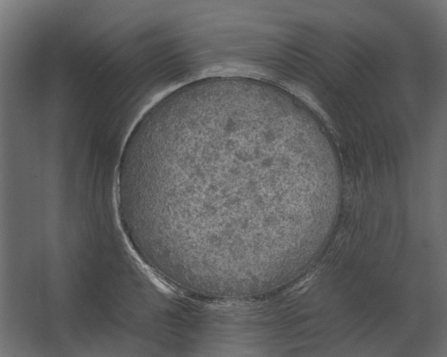 X0000067501040200604211720