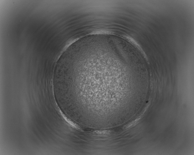 X0000067501041200604211720